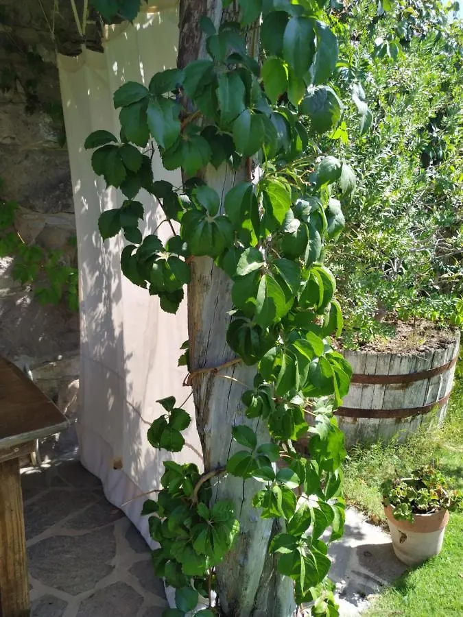 Domus Antiga Appartamenti San Giovanni Suèrgiu Apartament